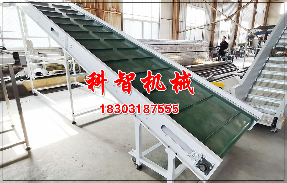 紅蕓豆罐頭生產(chǎn)線(xiàn)帶式爬坡輸送機(jī)驅(qū)動(dòng)裝置